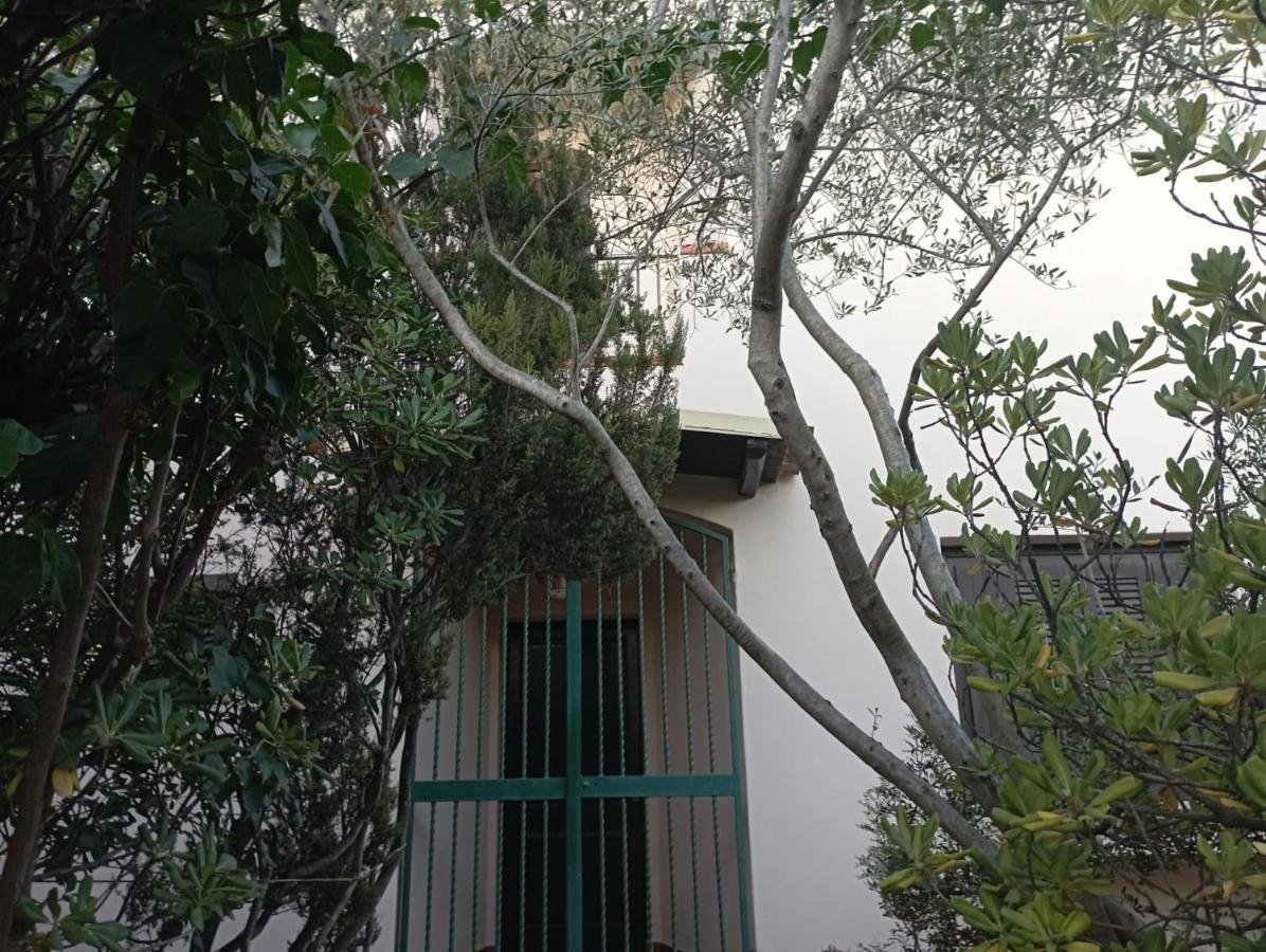 Domus Garden Bed and Breakfast Olbia Buitenkant foto