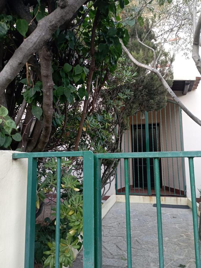 Domus Garden Bed and Breakfast Olbia Buitenkant foto