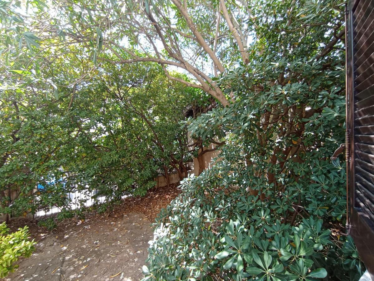 Domus Garden Bed and Breakfast Olbia Buitenkant foto
