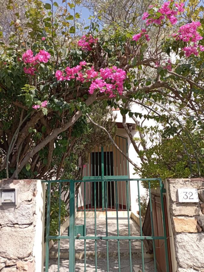 Domus Garden Bed and Breakfast Olbia Buitenkant foto