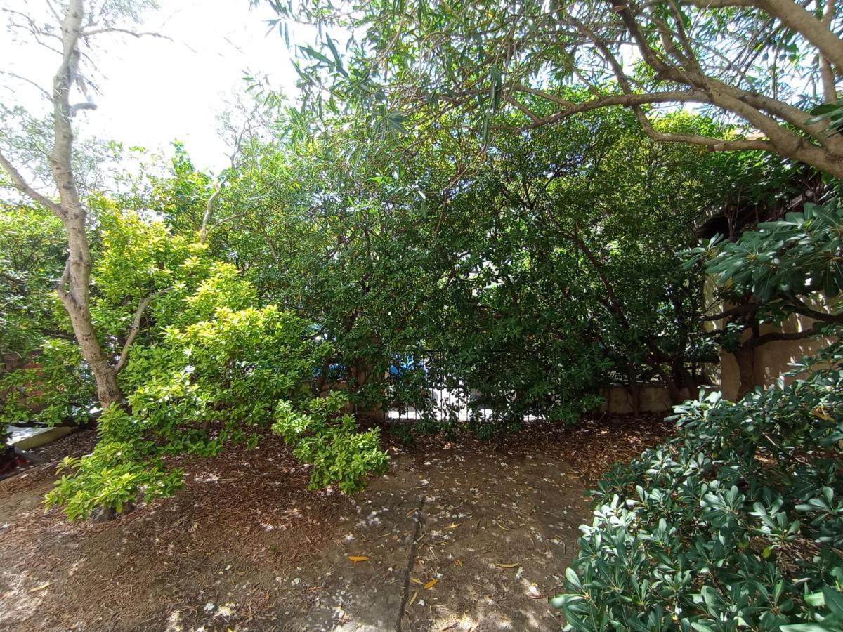 Domus Garden Bed and Breakfast Olbia Buitenkant foto